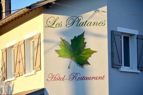 © Les Platanesplatanes