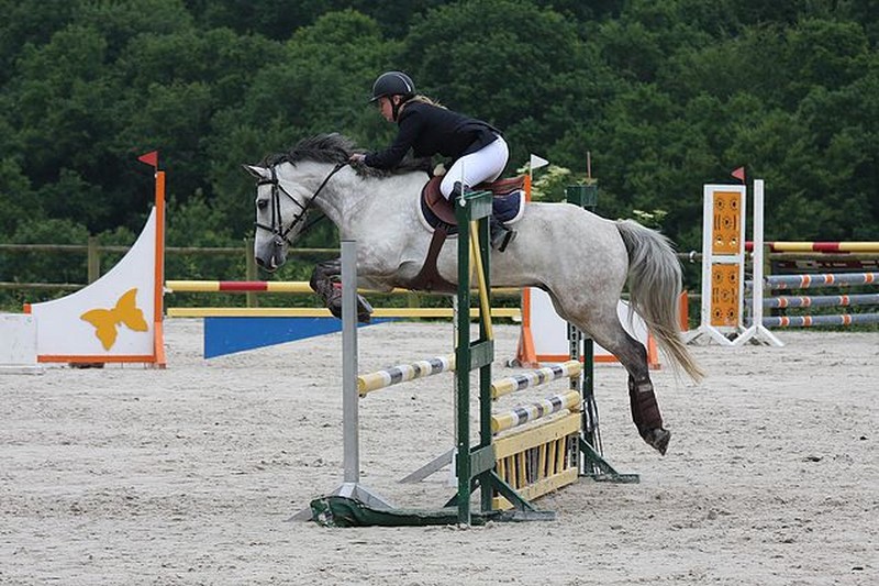 PROPRIETAIRECentre-equestre-Agon-4