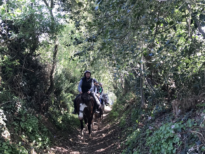 margaux choquetcentre-equestre-doville (1)