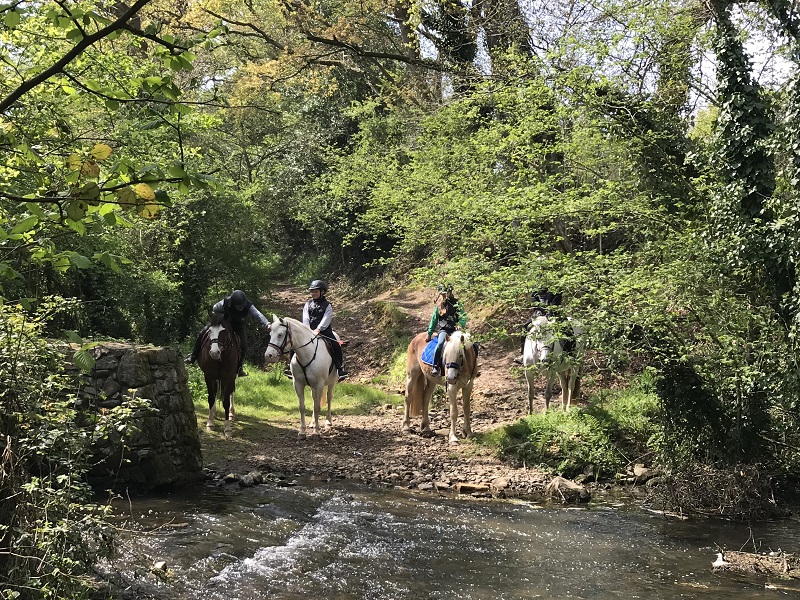 margaux choquetcentre-equestre-doville (2)