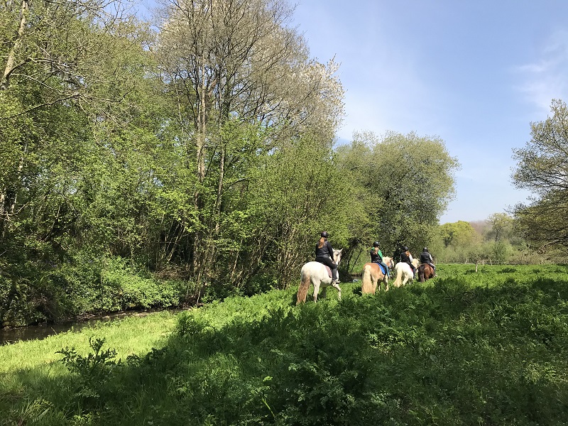 margaux choquetcentre-equestre-doville (3)