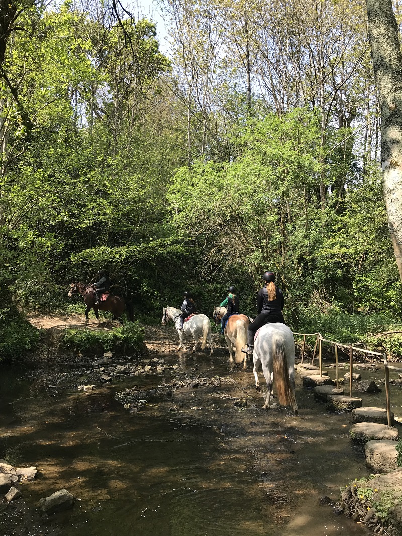 margaux choquetcentre-equestre-doville (4)