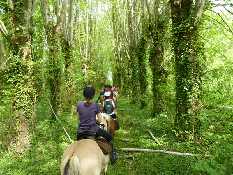 ©centre_equestre_Montmirel.jpg©centre_equestre_Montmirel (5)red