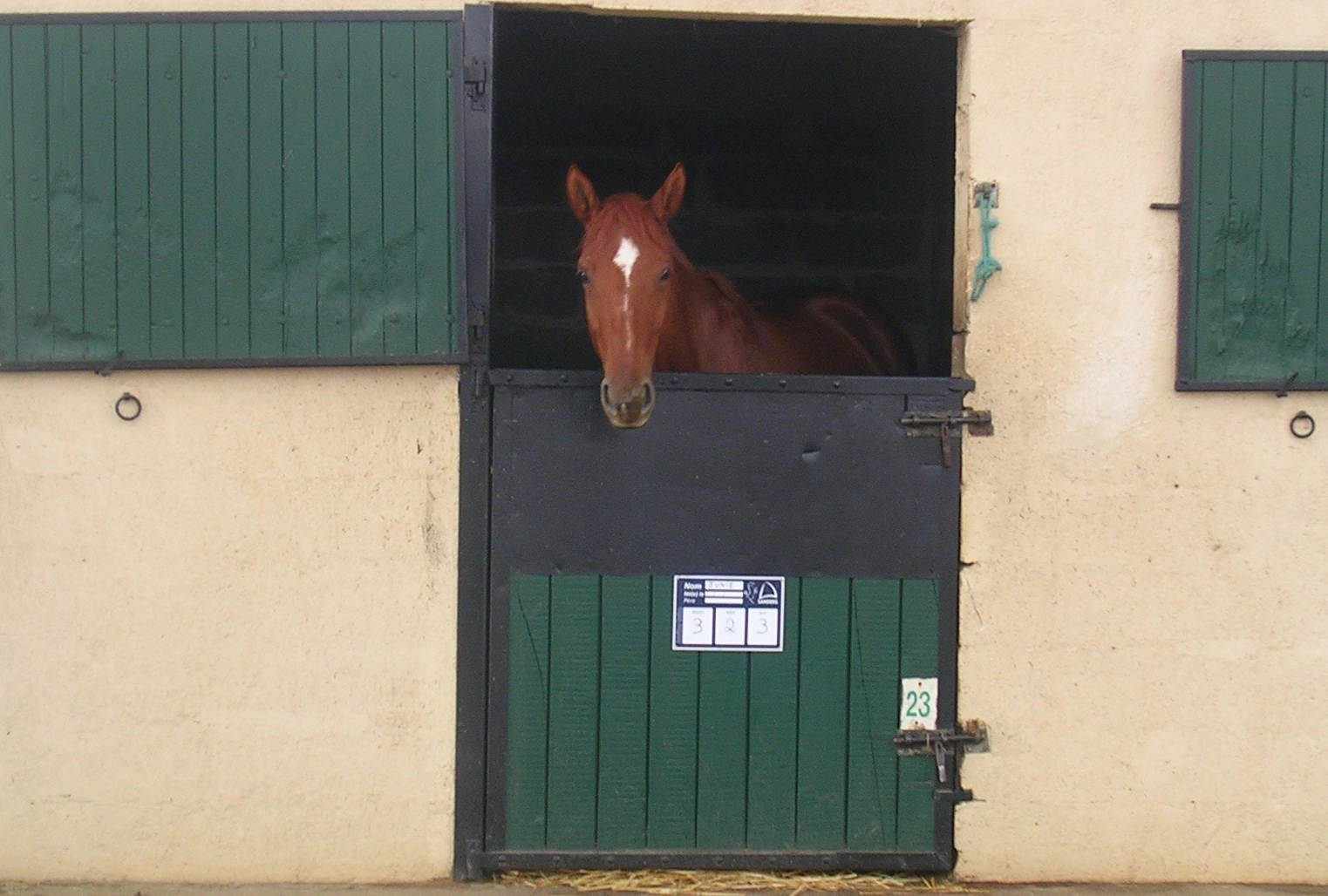 Centre Equestre de Sées