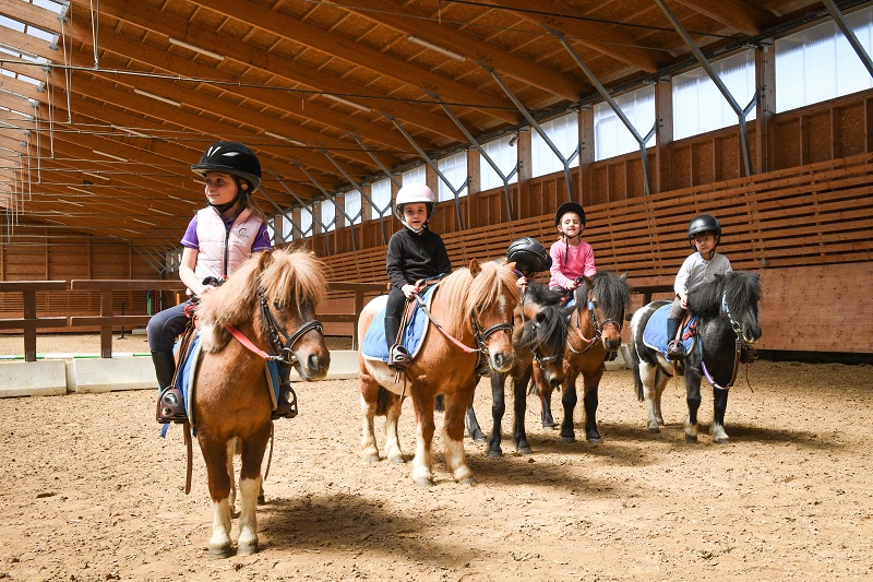 Pierre-Yves Le Meurcentre_equestre_stloagglo_2©PYL