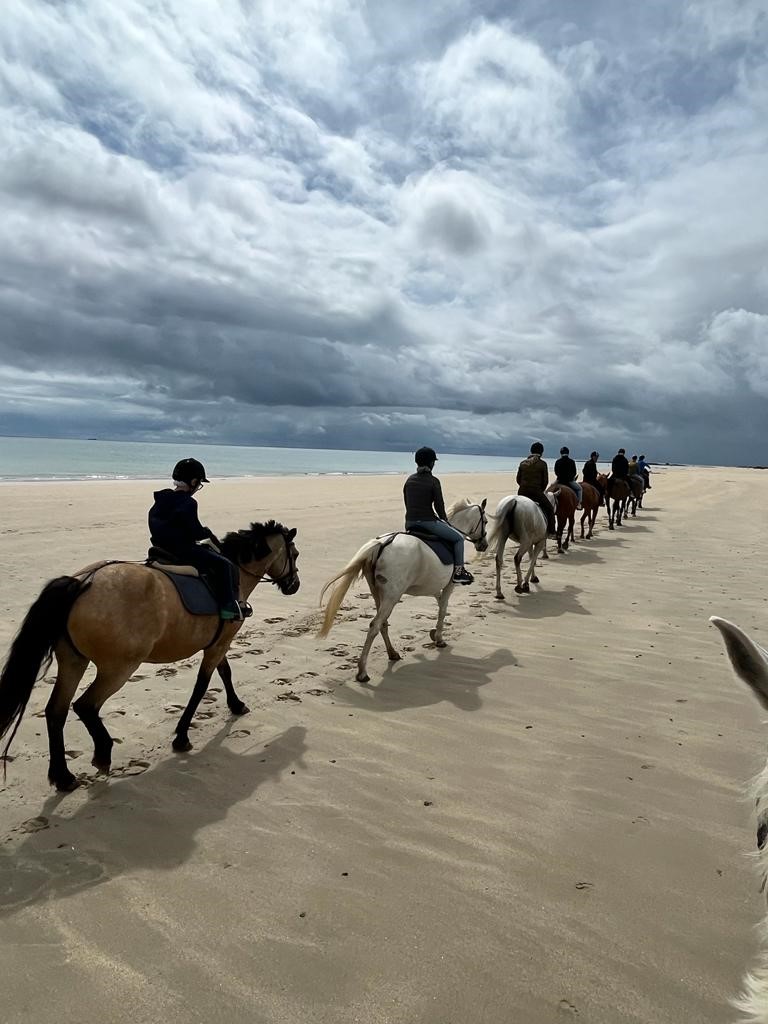 PROPRIETAIRECENTRE EQUESTRE VAL DE SAIRE - REVILLE - 10