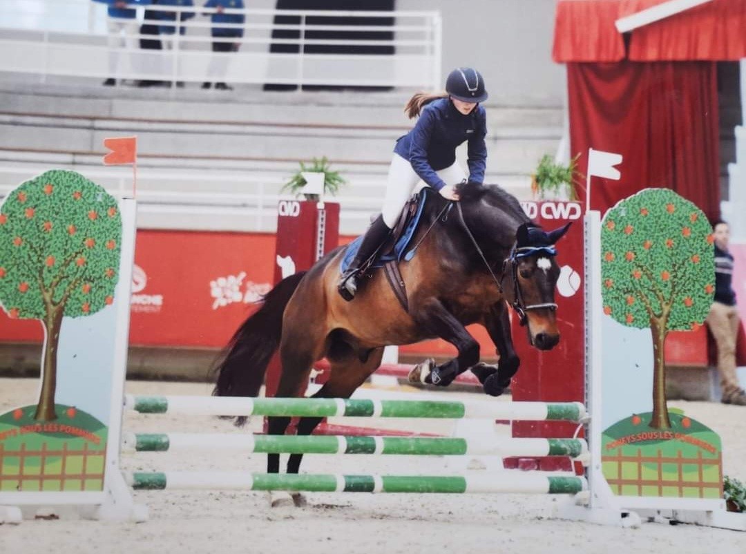 PROPRIETAIRECENTRE EQUESTRE VAL DE SAIRE - REVILLE - 11