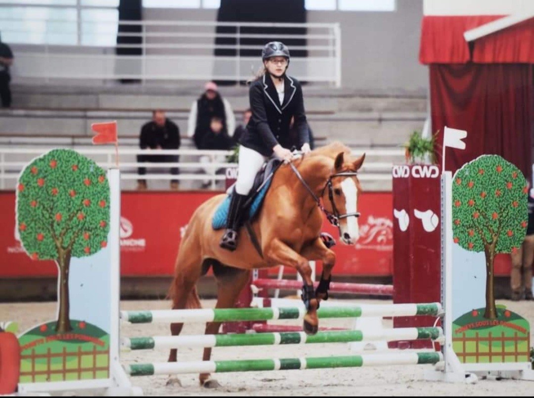 PROPRIETAIRECENTRE EQUESTRE VAL DE SAIRE - REVILLE - 12