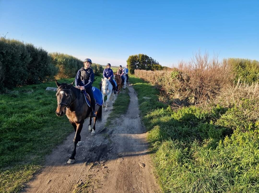PROPRIETAIRECENTRE EQUESTRE VAL DE SAIRE - REVILLE - 14