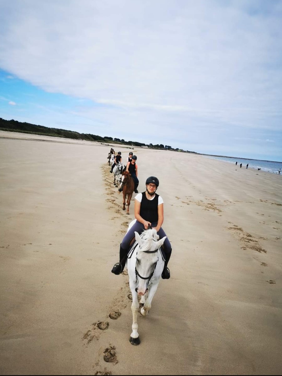 PROPRIETAIRECENTRE EQUESTRE VAL DE SAIRE - REVILLE - 16