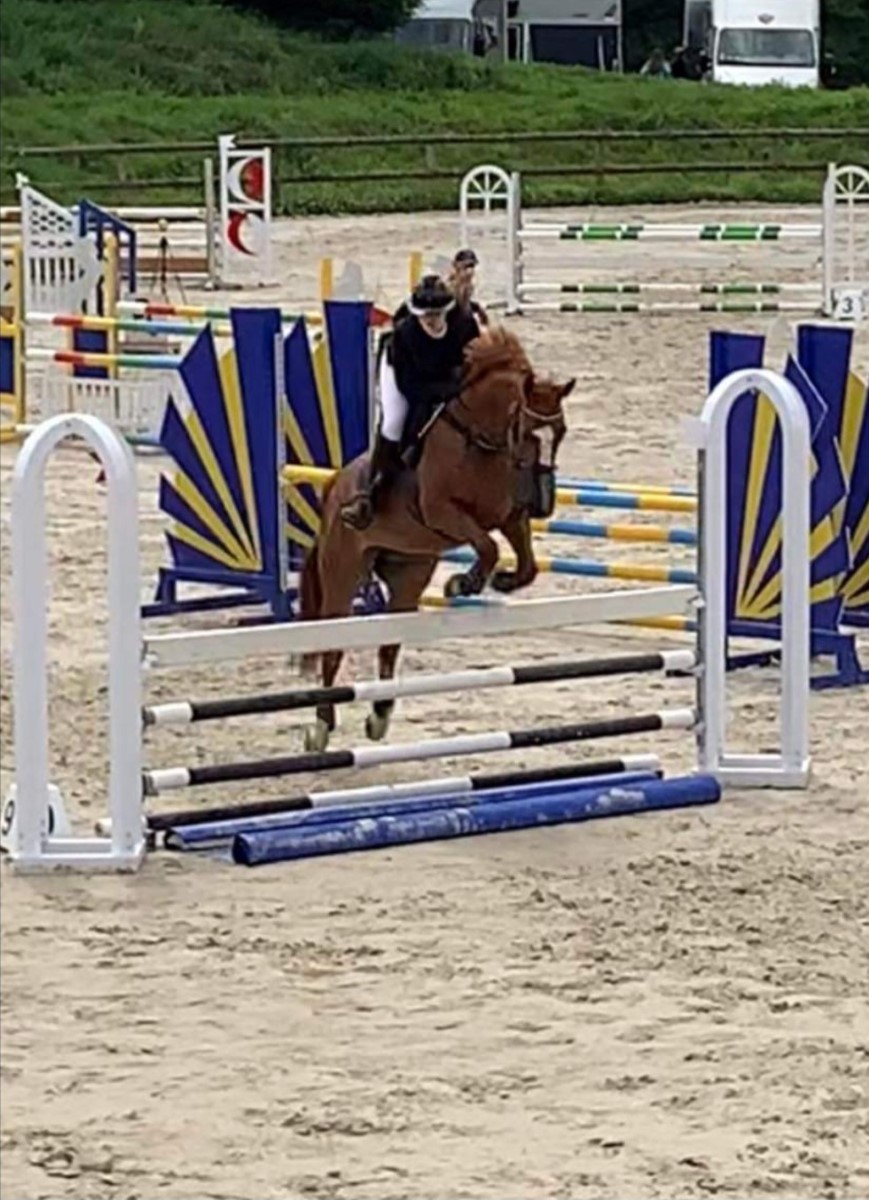PROPRIETAIRECENTRE EQUESTRE VAL DE SAIRE - REVILLE - 18