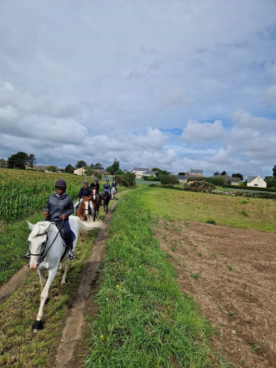 PROPRIETAIRECENTRE EQUESTRE VAL DE SAIRE - REVILLE - 3