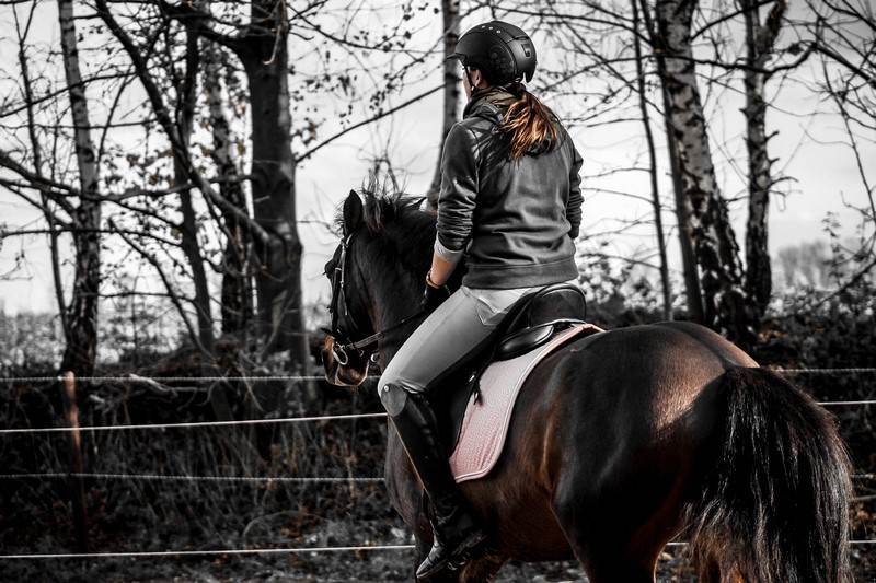 PROPRIETAIREcentre-equestre-val-de-sienne