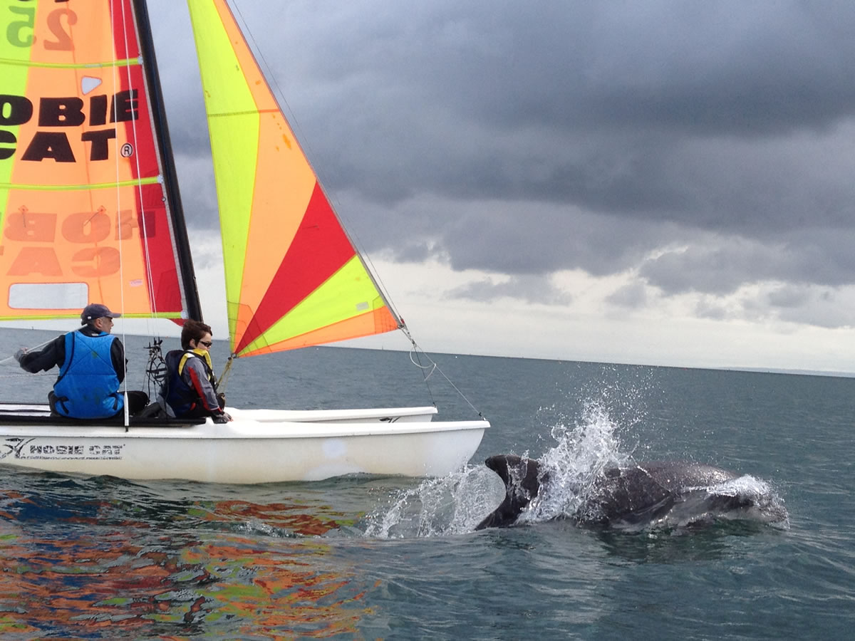 © Centre Nautique OCEANcatamaran