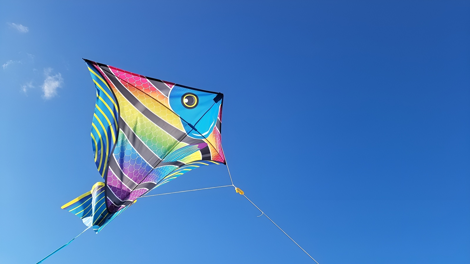 pixabayCERF VOLANT
