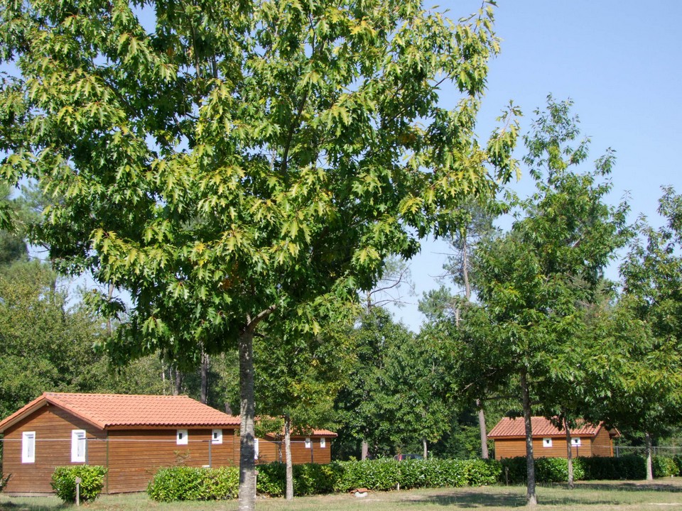 ©mairie de Sarbazanchalet 3