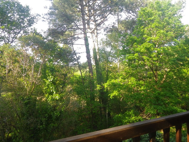gdfchalet-dunes20-delpech-bisca