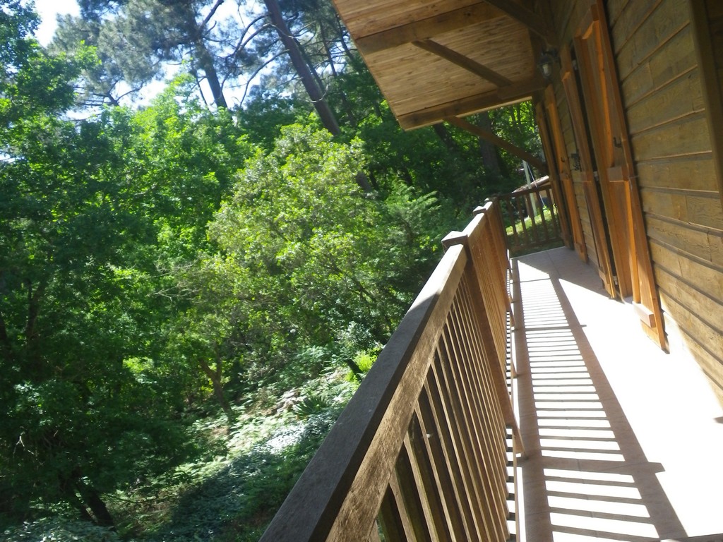 gdfchalet-dunes7-delpech-bisca