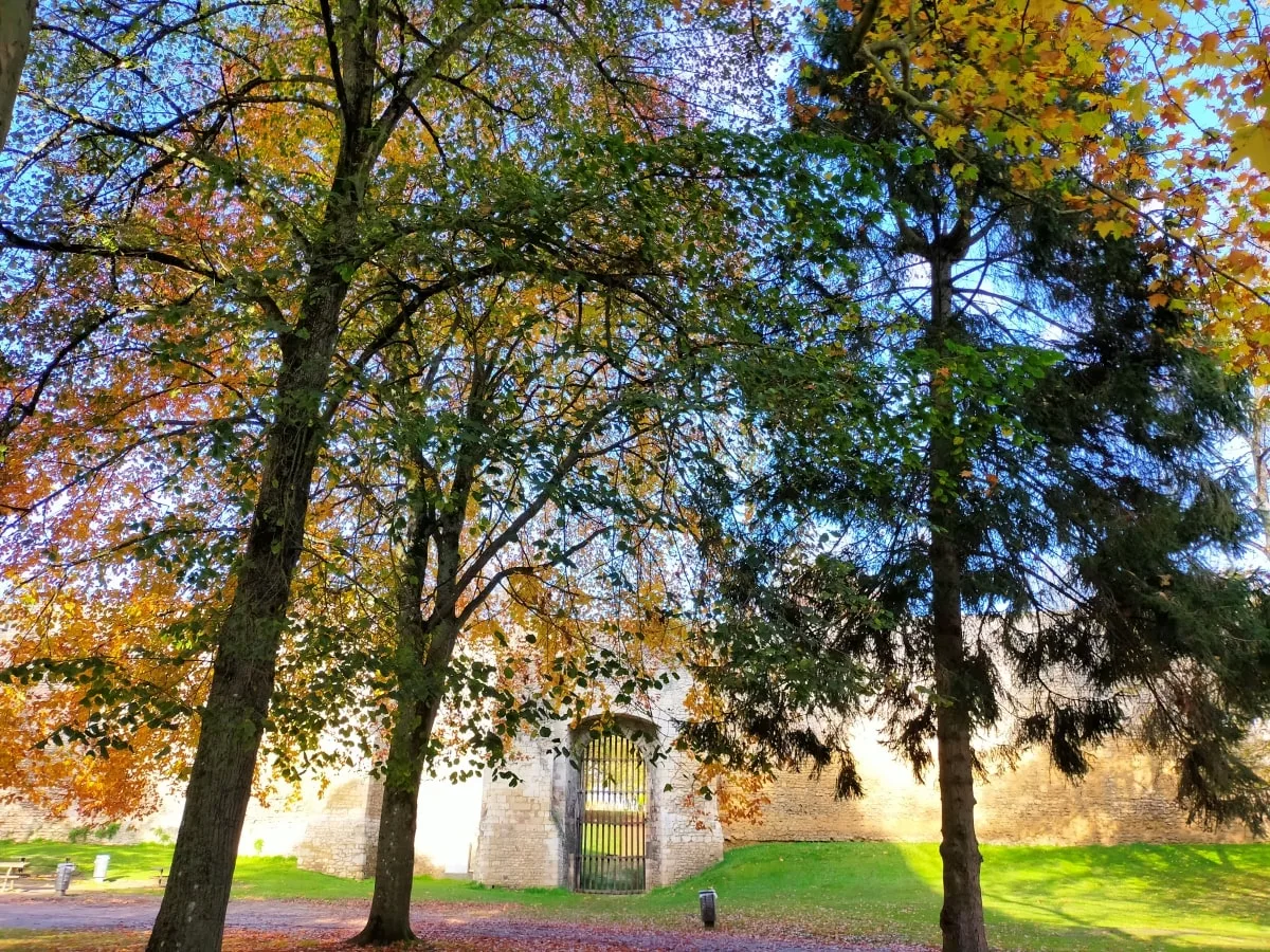 Parc château de Gisors
