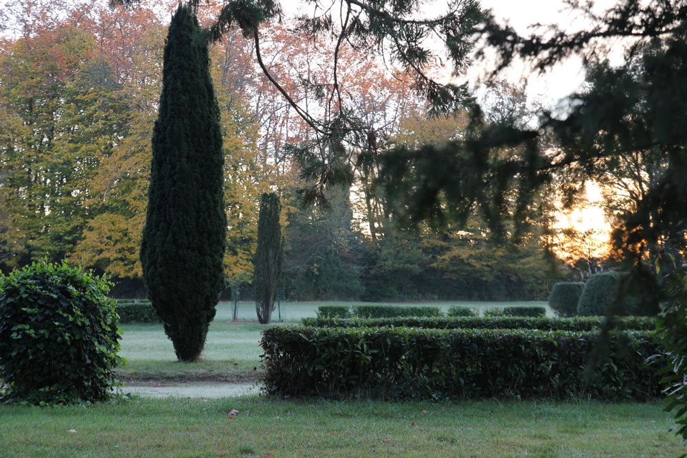 ©Florence BoutinChateau-de-Ravignan-jardin-brume_3