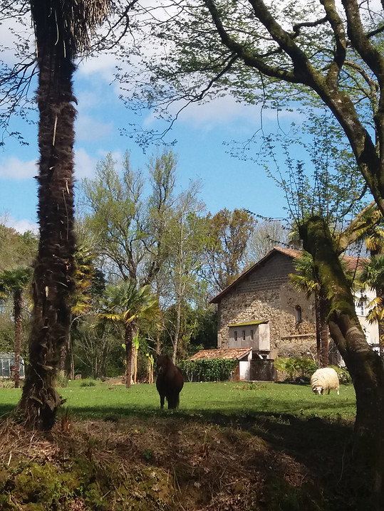 Château Saint MartinChateauStMartin05-Pouillon-ChateauStMartin-2