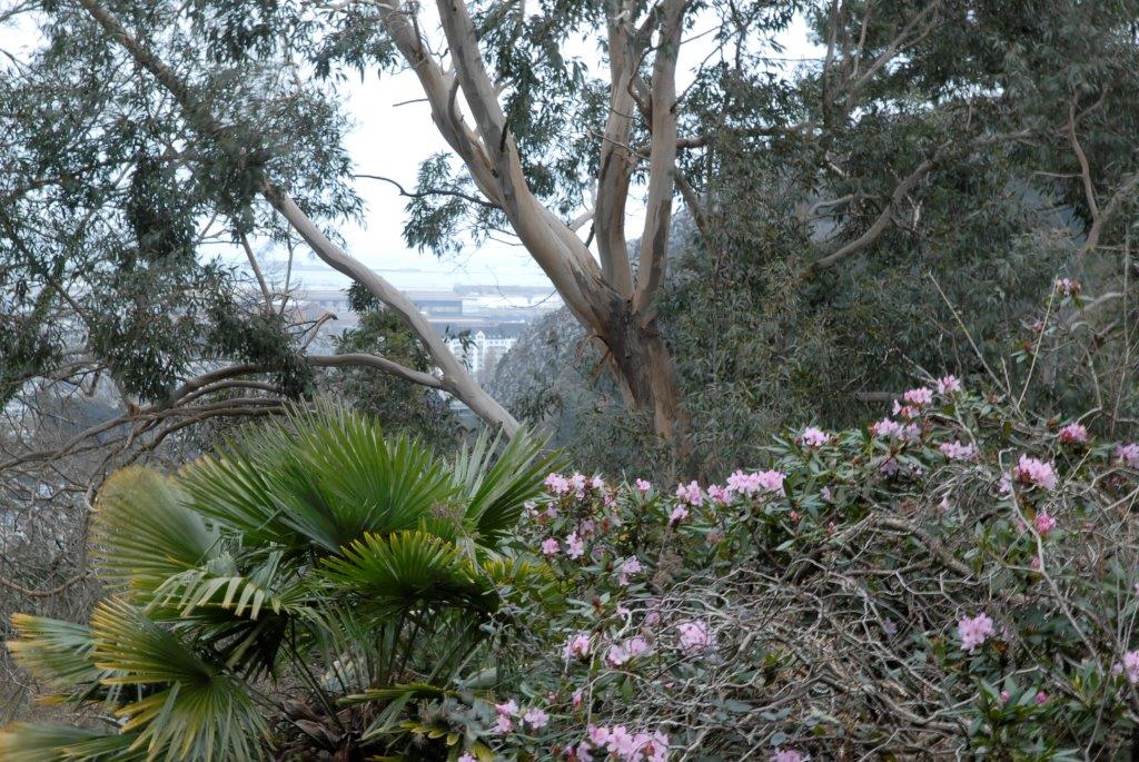 PROPRIETAIREcherbourg-en-cotentin-parc-la roche-fauconniere