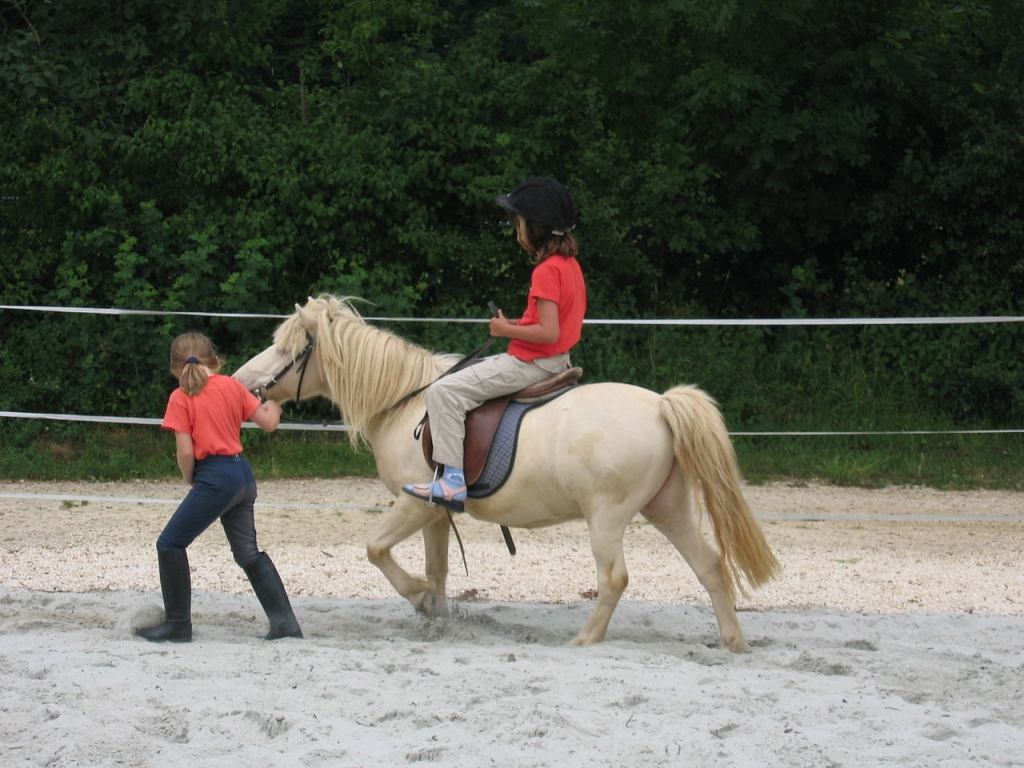 PixabayEquitation