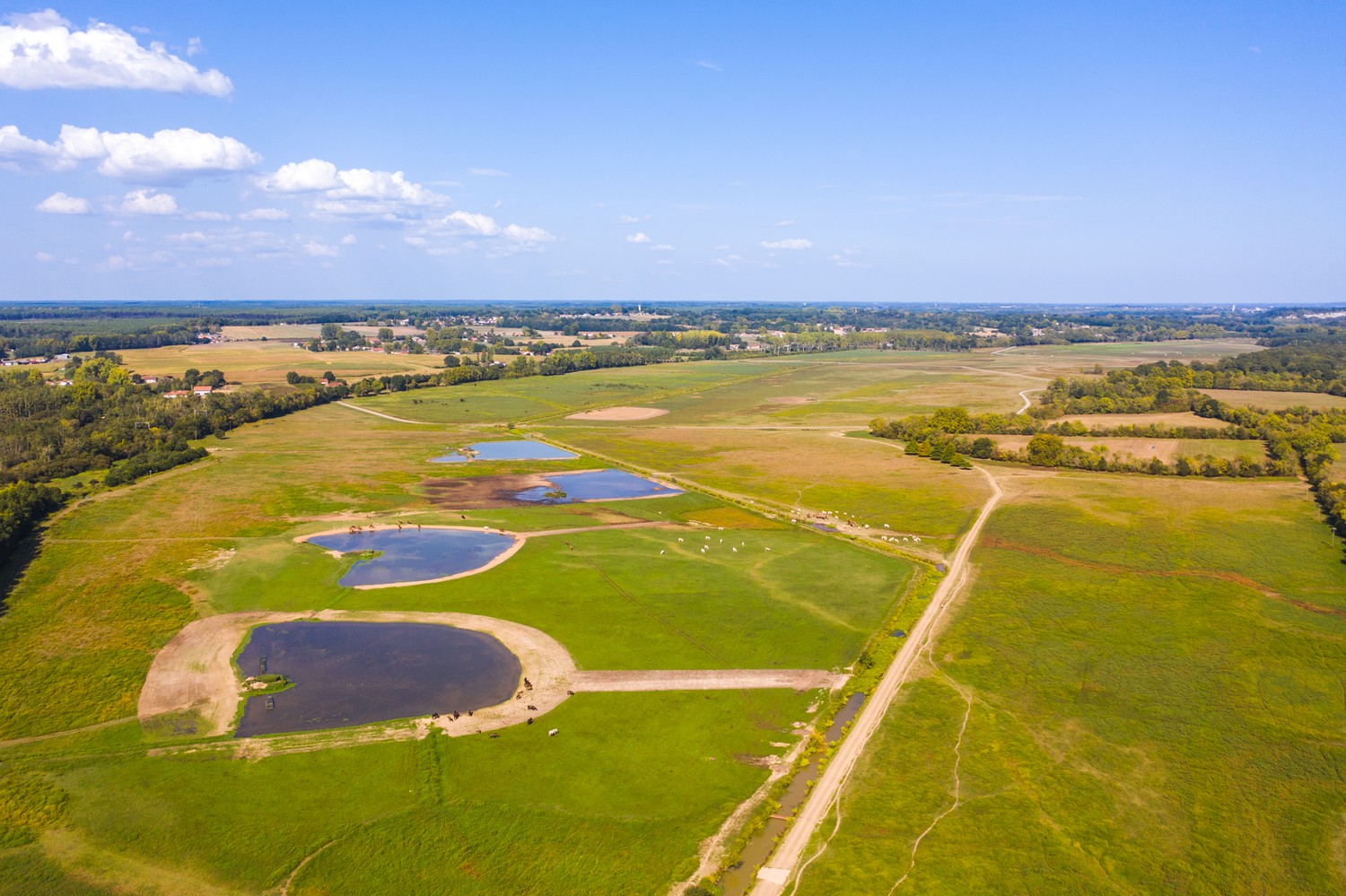 © OTI Landes Atlantique SudCircuit_de_la_grande_barthe -