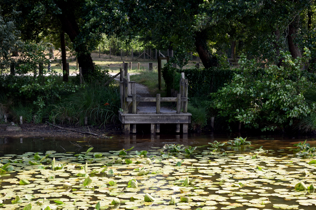 ©CLNTCLNT - LEON - Handi Pêche (2)