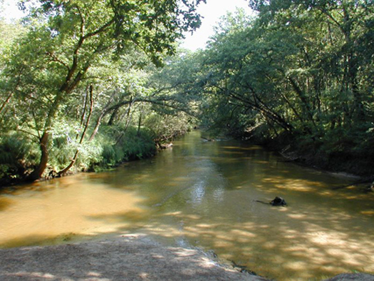pnrlgconfluence-des-deux-LeyresFredGilbert-2