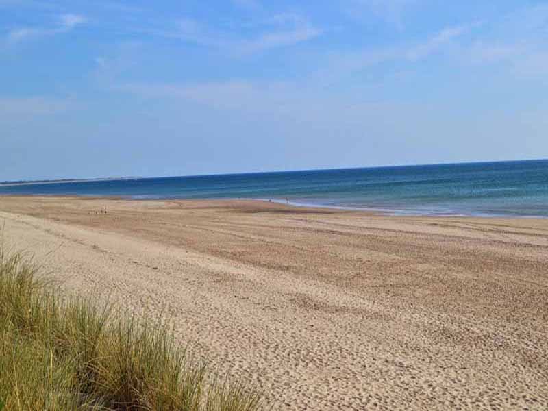 CDT50creances-plage-dunes