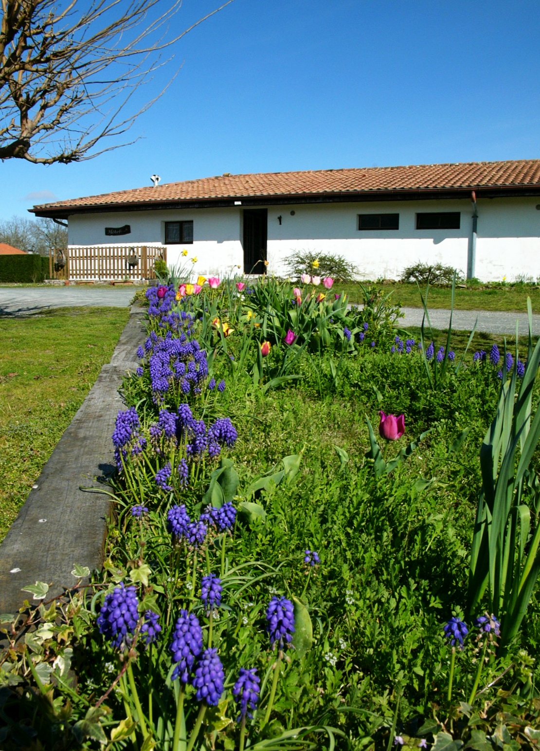 DehiouDehiou_Soustons_Landes Atlantique Sud _hotel1