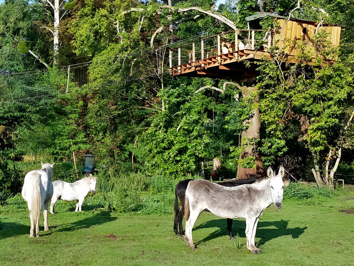 Domaine de OuézyDomaine de Ouézy