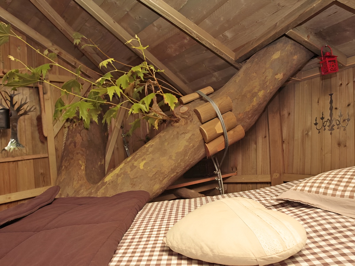 Domaine de OuézyDomaine de Ouézy - Cabane perchée in