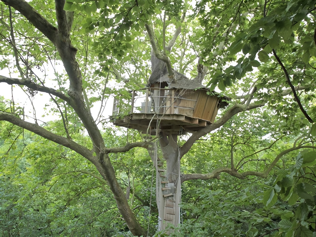 Domaine de OuézyDomaine de Ouézy - Cabane perchée out