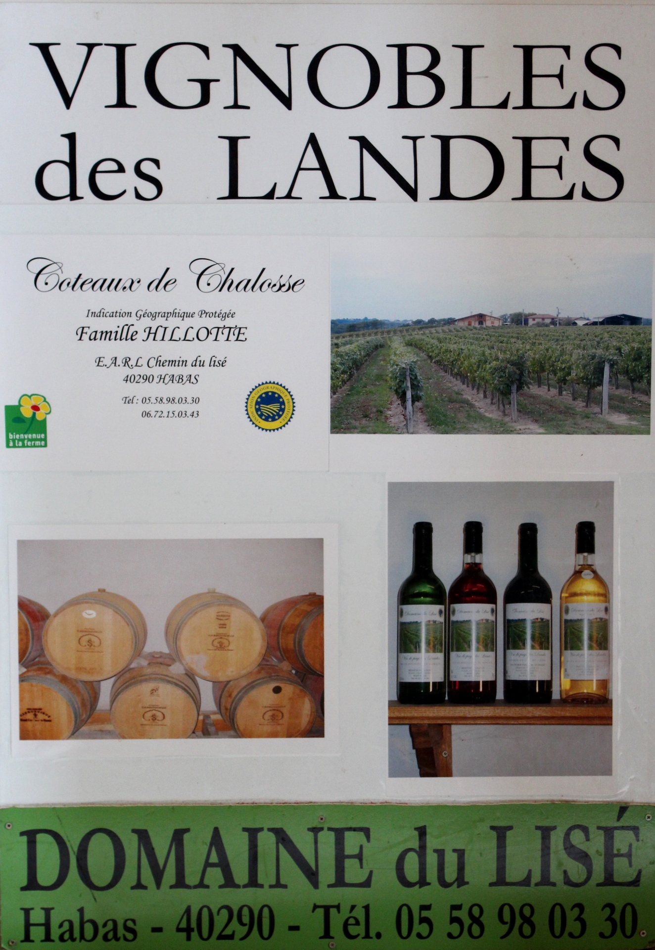 OT Sud Landes ArrigansDomaine de Lisé  (1) (1324x1920)