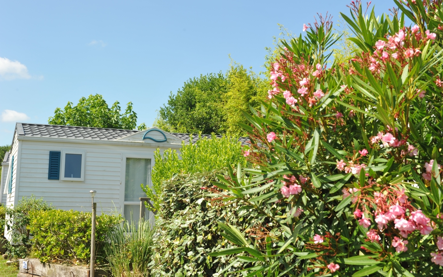 CAMPING DUNA MUNGUYDSC-0641-190611-2