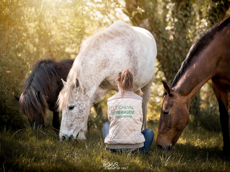 PropriétaireLe cheval emeraude(2)