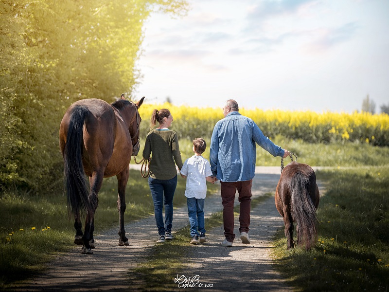 PropriétaireLe cheval emeraude