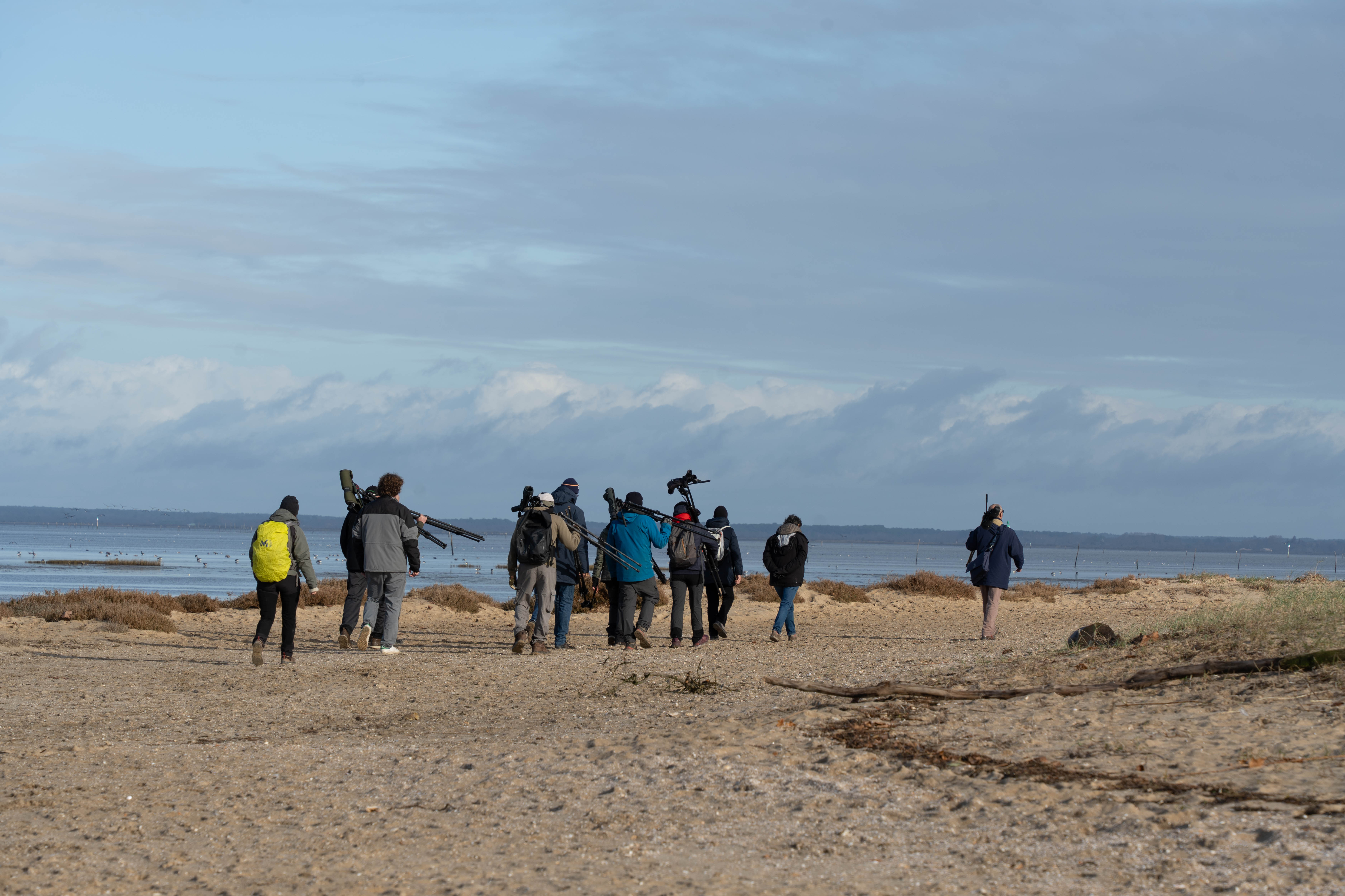 Réserve Ornithologique du TeichDSC00702