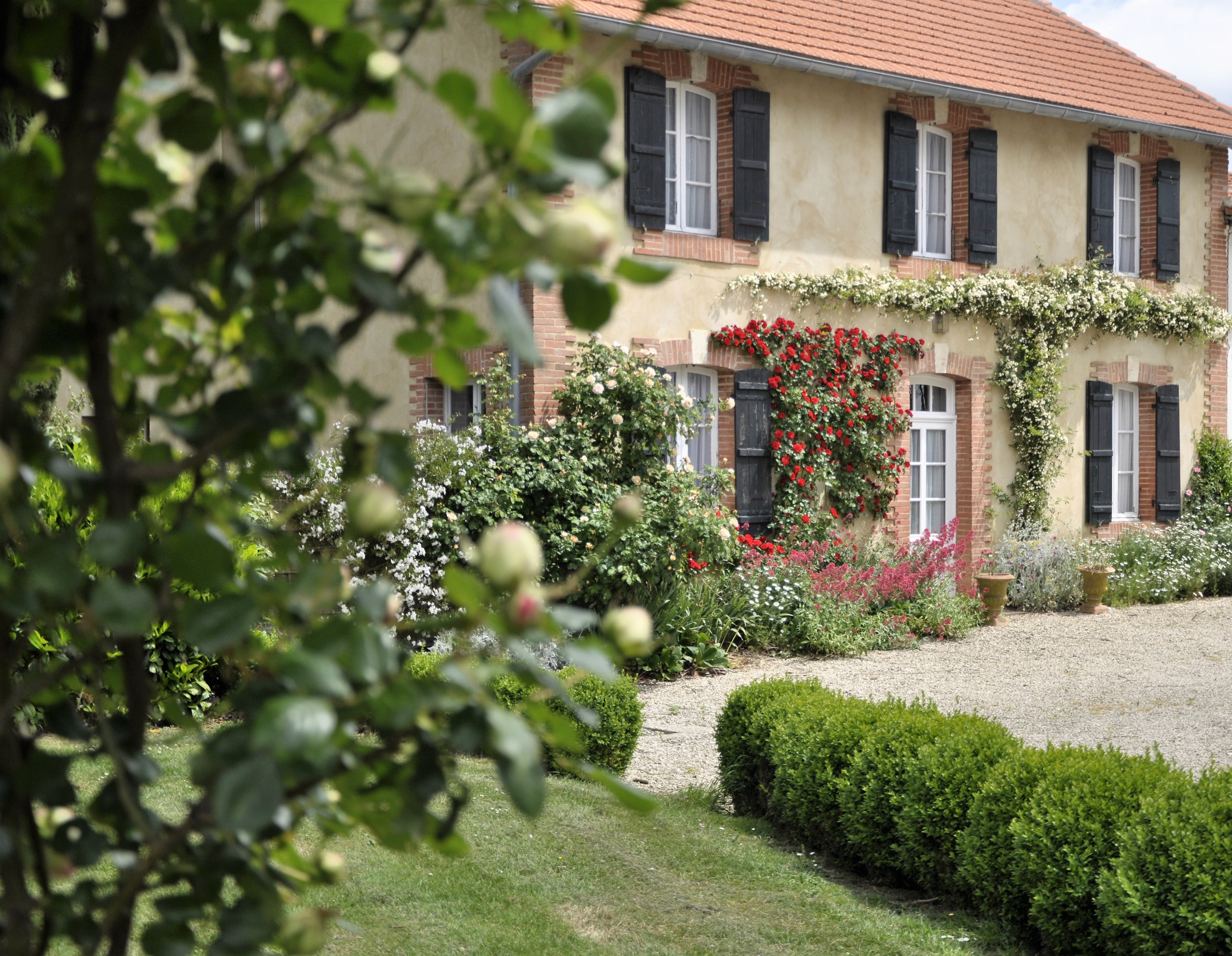 GDF20111 - Extérieur du Gîte Petit départ à Parleboscq - Gîtes de france Landes