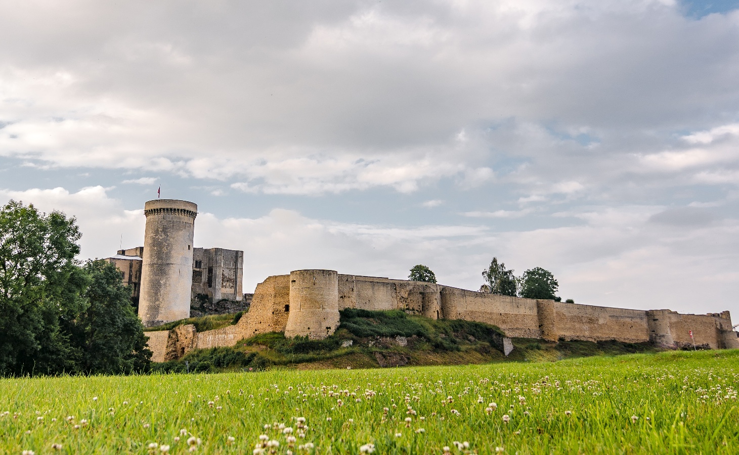 Jacky HervieuxLe front sud du château Château Guillaume le Conquérant FALAISE