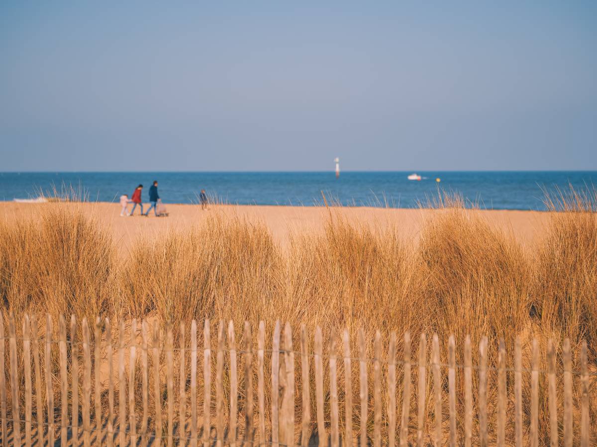 Normandie Pays d'AugeDunes_et_oyats_sur_la_plage- Merville-Franceville - Normandie_Pays_d_Auge