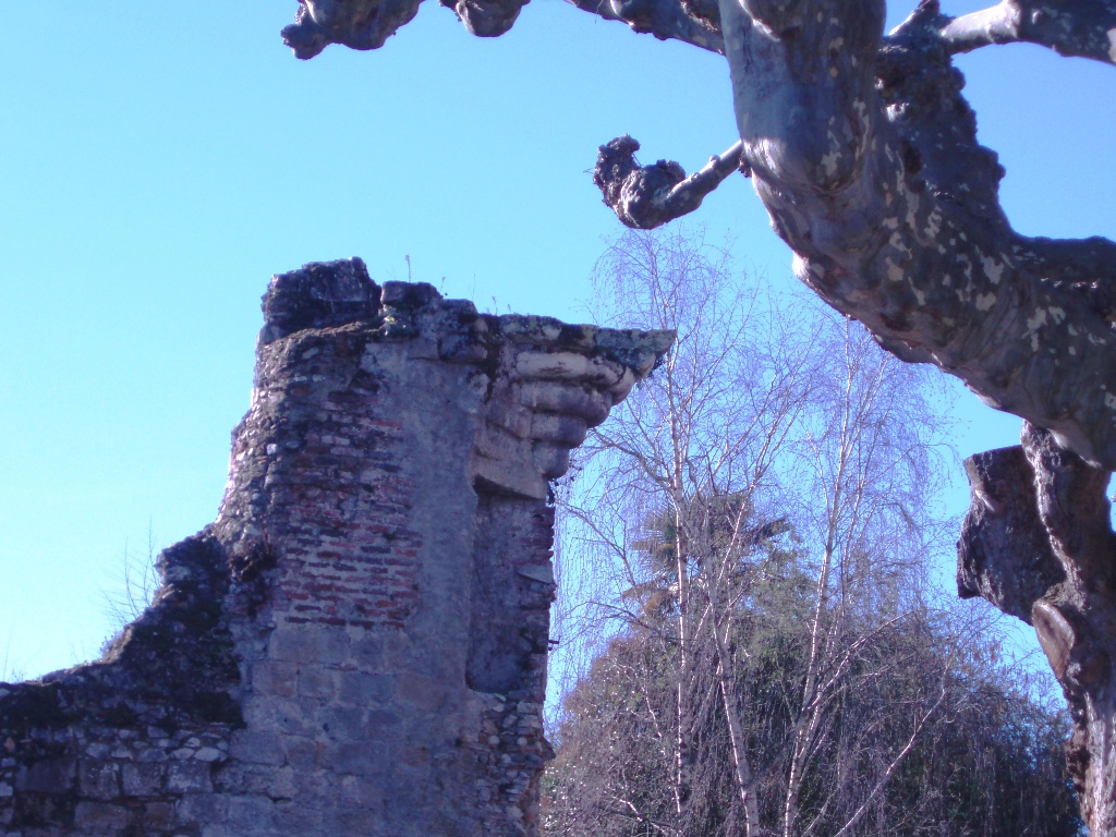 Office de TourismeFortifications St-Sever