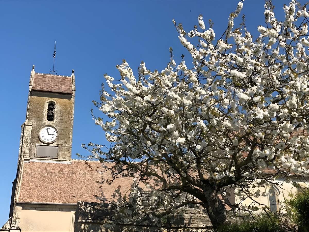 Mathilde LELANDAISEGLISE-DE-PLUMETOT-FLEURS-PRINTEMPS-CREDIT-MATHILDE-LELANDAIS