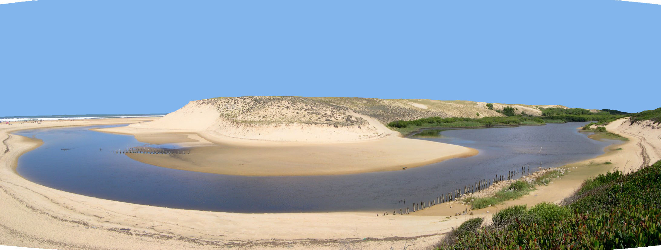 Réserve naturelle du Courant d'huchetEmbouchure Courant d'huchet-Moliets-Landes Atlantique Sud
