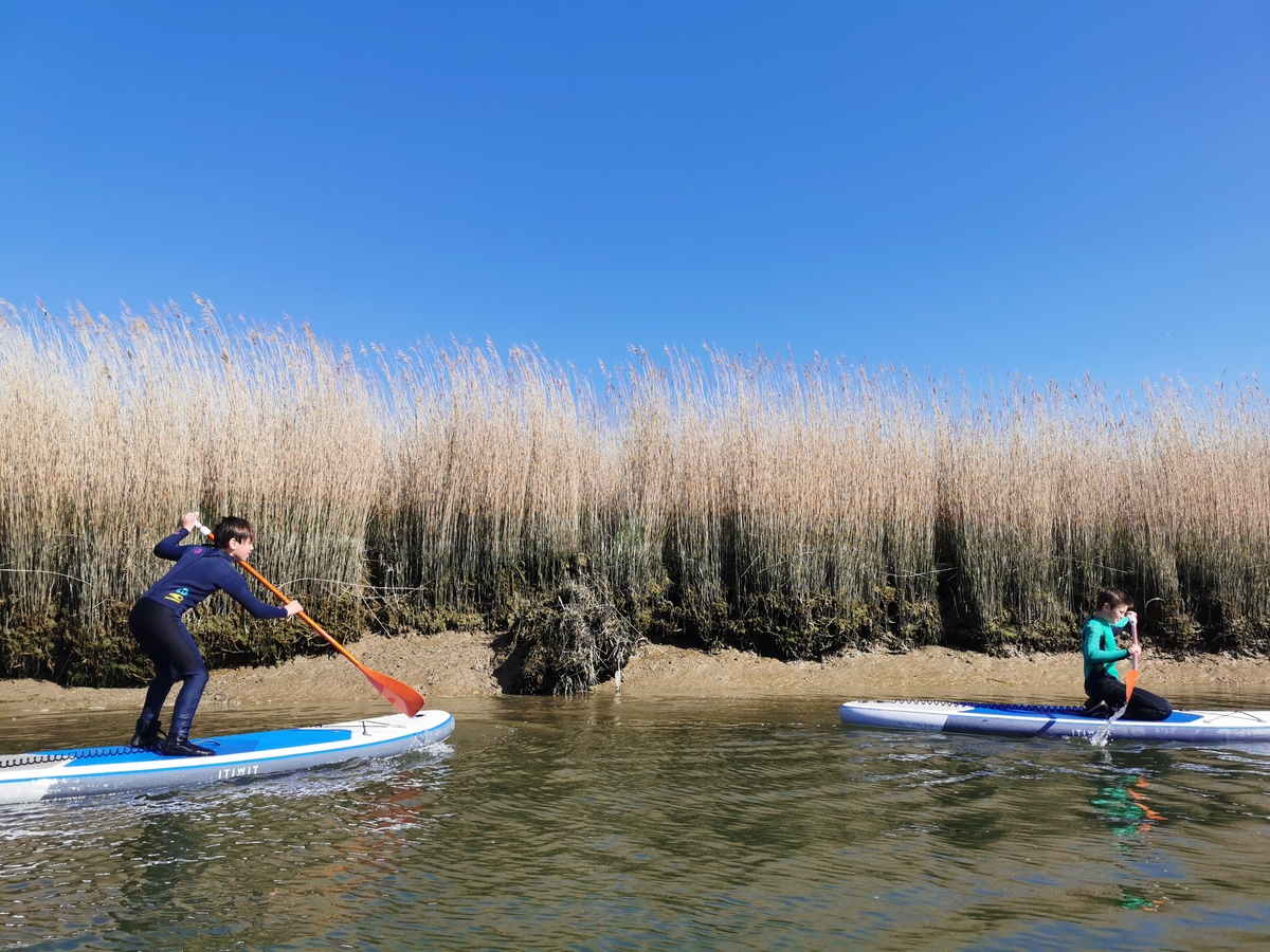 Nathalie PapouinENFANTS-EN-SORTIE-STAND-UP-PADDLE-SUR-LA-SEULLES-ECOLE-DE-VOILE-DE-COURSEULLES-SUR-MER-CREDIT-NATHALIE-PAPOUIN