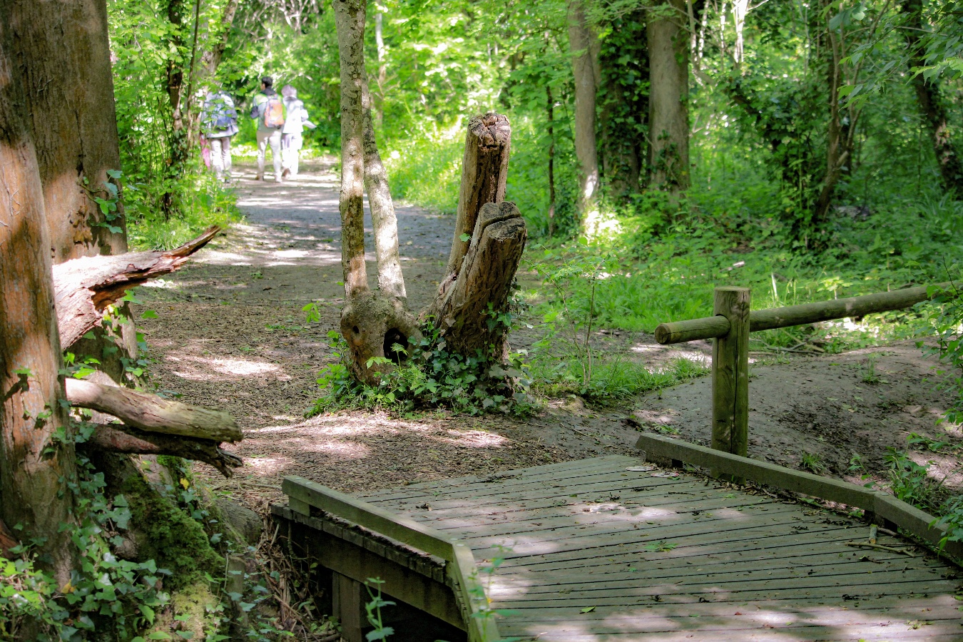©Séverine Legrain/Calvados AttractivitéENS Bois du Caprice - Mai 2021