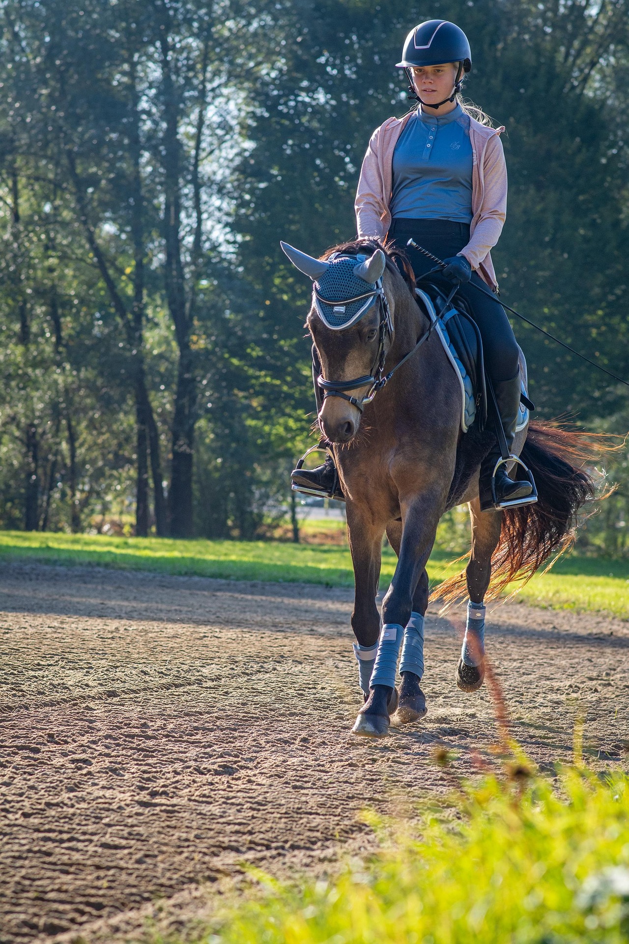 pixabayequitation