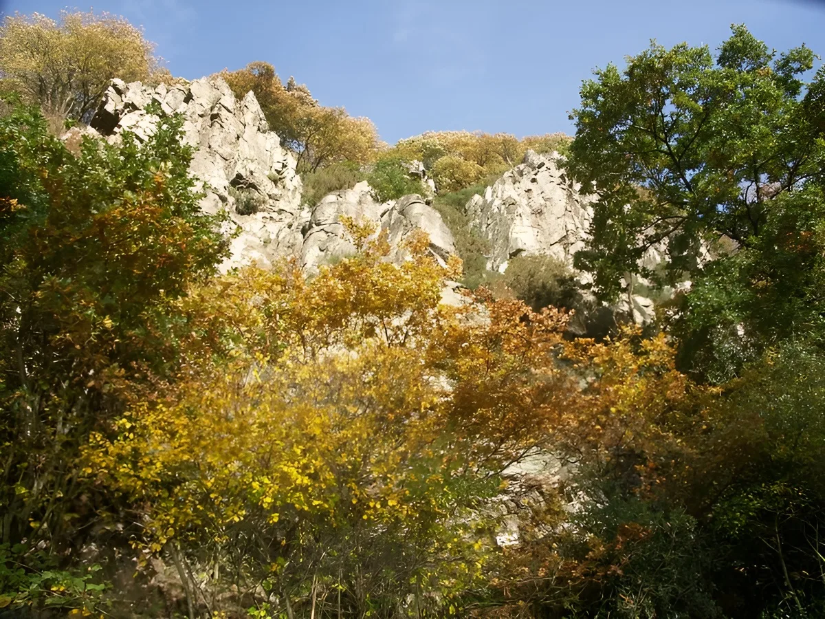 Site d'escalade de Carville